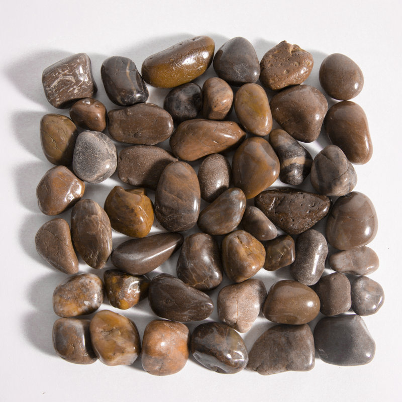 World Menagerie Spann Pebble Stone Vase Filler & Reviews Wayfair